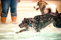 k9 kerplunk-5