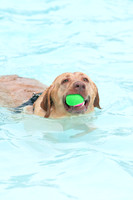 k9 kerplunk-17