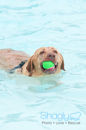 k9 kerplunk-17