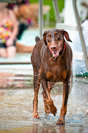 k9 kerplunk-56