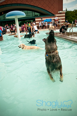 k9 kerplunk-109