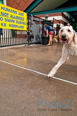 k9 kerplunk-118