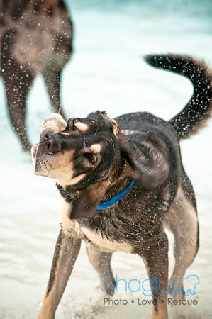 k9 kerplunk-28