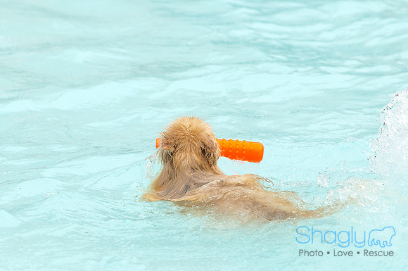 k9 kerplunk-48