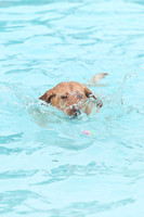 k9 kerplunk-14