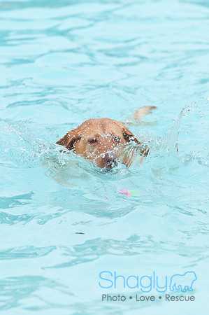 k9 kerplunk-14