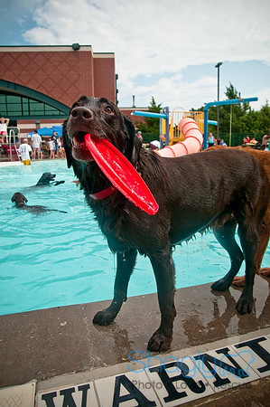 k9 kerplunk-66