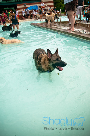k9 kerplunk-107