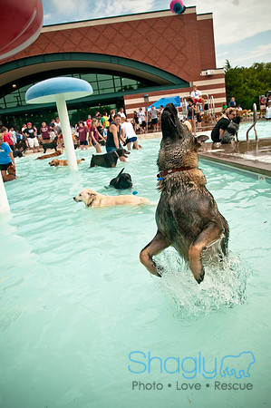 k9 kerplunk-110