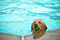 k9 kerplunk-11