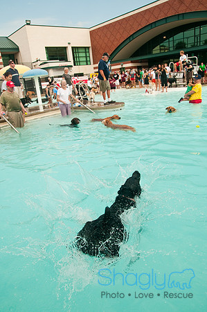 k9 kerplunk-105