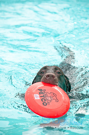 k9 kerplunk-39