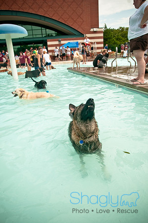 k9 kerplunk-108