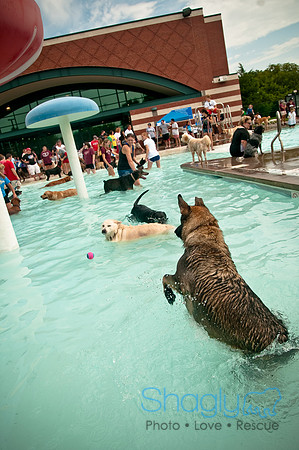 k9 kerplunk-113