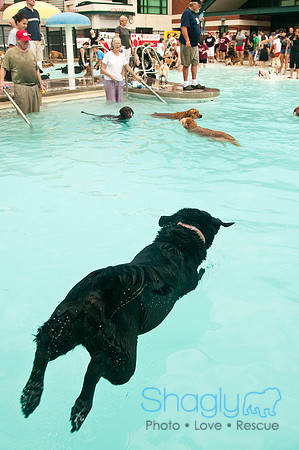 k9 kerplunk-104