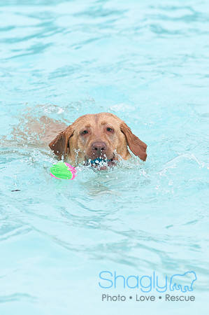 k9 kerplunk-15