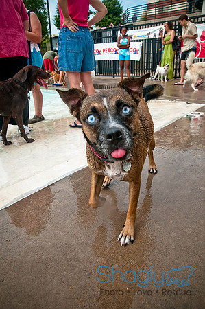 k9 kerplunk-92