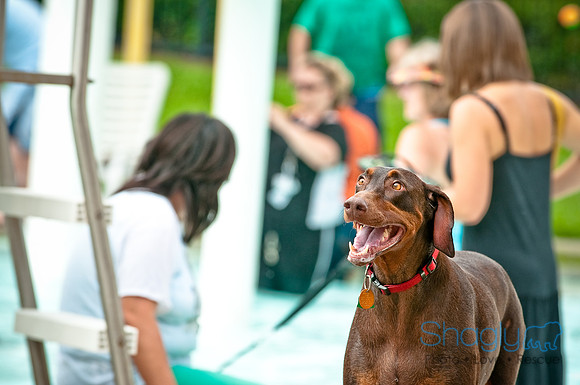 k9 kerplunk-59