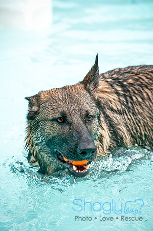 k9 kerplunk-37