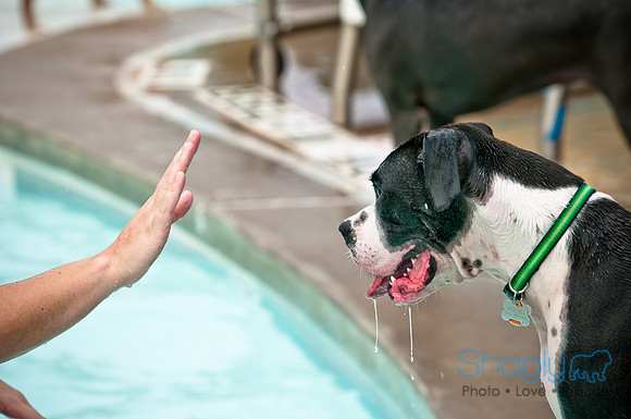 k9 kerplunk-22