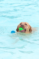 k9 kerplunk-16