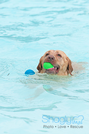 k9 kerplunk-16
