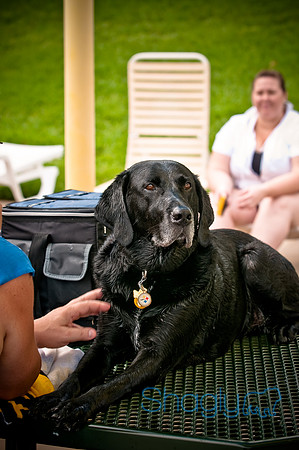 k9 kerplunk-7