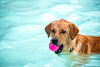 k9 kerplunk-6