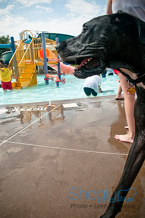 k9 kerplunk-98