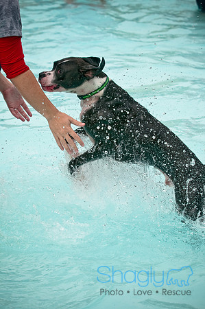 k9 kerplunk-23