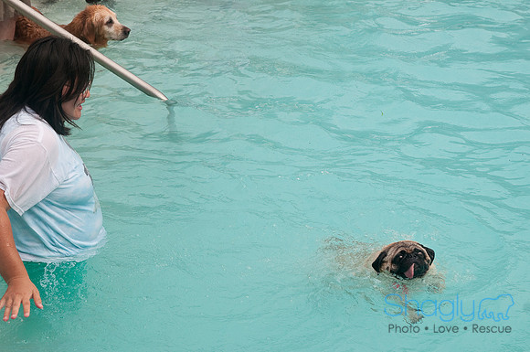 k9 kerplunk-71