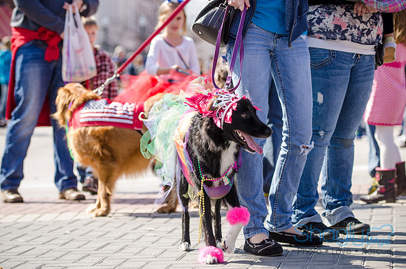 Krewe of Barkus 2012-176