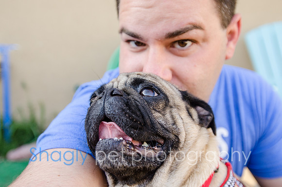 The Boarding Bungalo Pugs-29