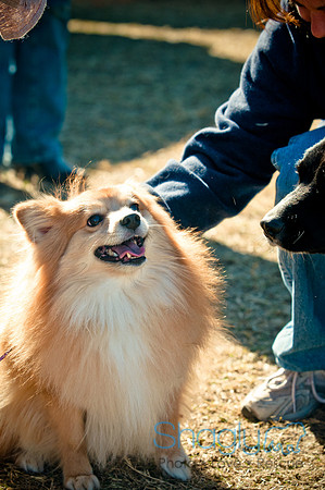 Richardson Pet Day 2010-23
