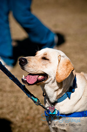 Richardson Pet Day 2010-50