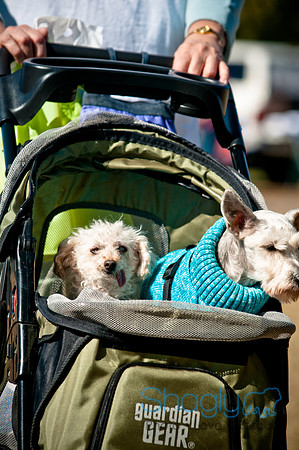 Richardson Pet Day 2010-123