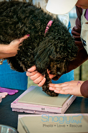 Richardson Pet Day 2010-69