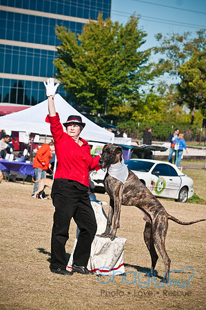 Richardson Pet Day 2010-20
