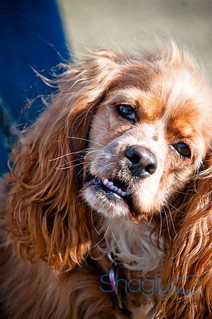 Richardson Pet Day 2010-215