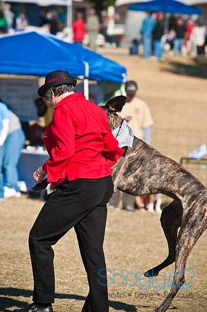 Richardson Pet Day 2010-12