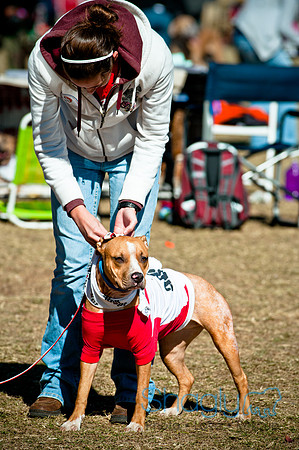 Richardson Pet Day 2010-122