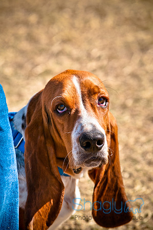 Richardson Pet Day 2010-75