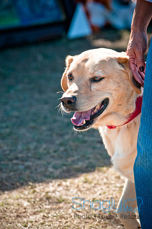 Richardson Pet Day 2010-172