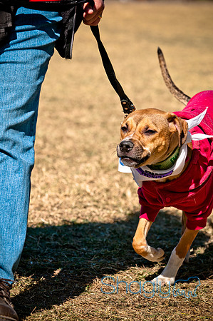 Richardson Pet Day 2010-98