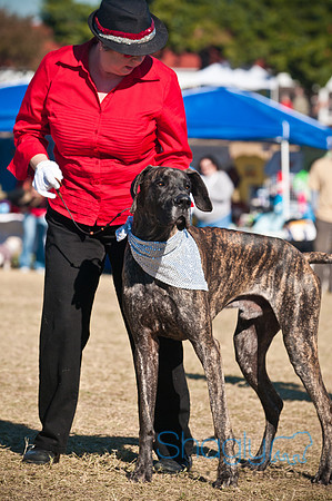 Richardson Pet Day 2010-13