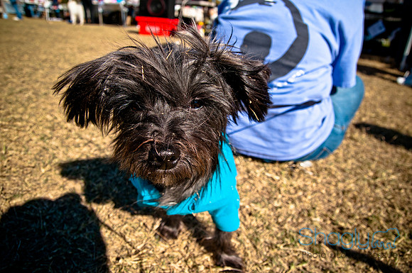 Richardson Pet Day 2010-157
