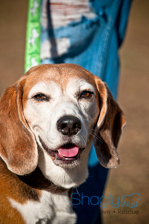 Richardson Pet Day 2010-205