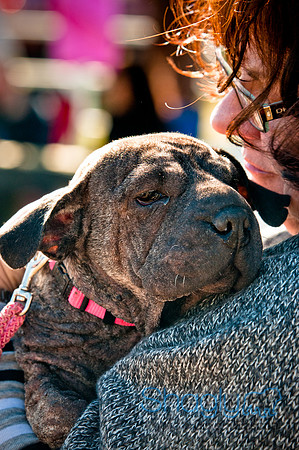 Richardson Pet Day 2010-39