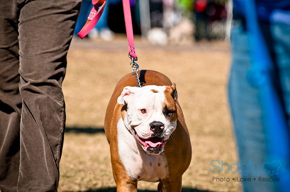 Richardson Pet Day 2010-96