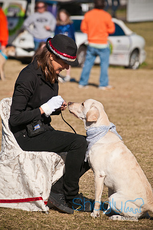 Richardson Pet Day 2010-11